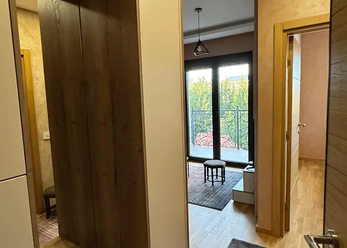 Suljagic 즐라티보